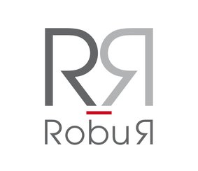 Robur